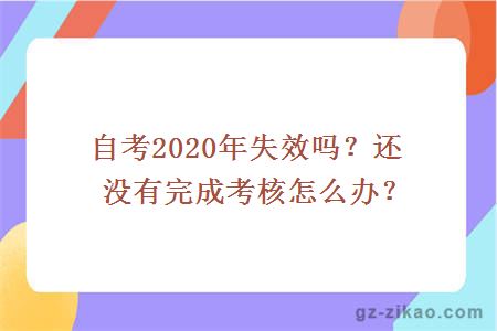 自考2020年失效吗？还没有完成考核怎么办