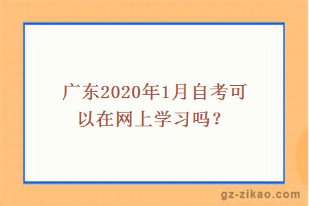 广东2020年1月自考可以在网上学习吗？