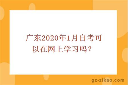 广东2020年1月自考可以在网上学习吗