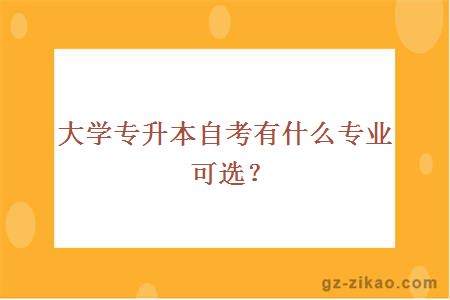 大学专升本自考有什么专业可选？