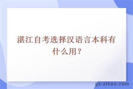 湛江自考选择汉语言本科有什么用？