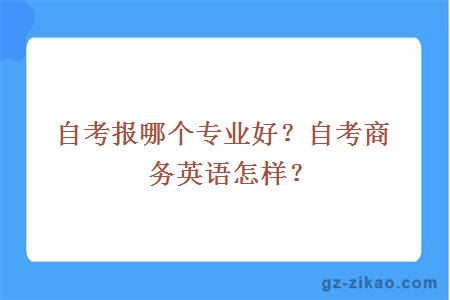 自考报哪个专业好？自考商务英语怎样？