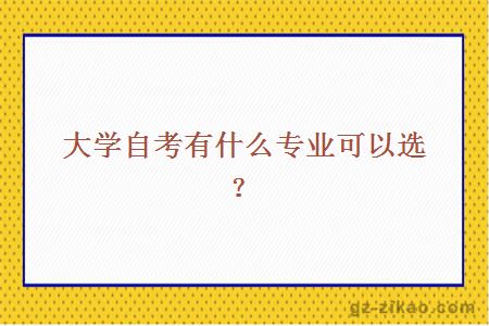 大学自考有什么专业可以选？