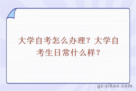 大学自考怎么办理？大学自考生日常什么样？