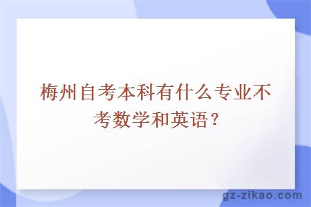 梅州自考本科有什么专业不考数学和英语？