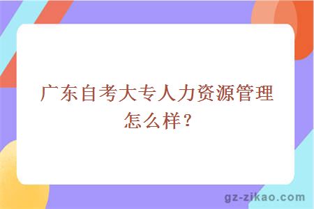 广东自考大专人力资源管理怎么样？