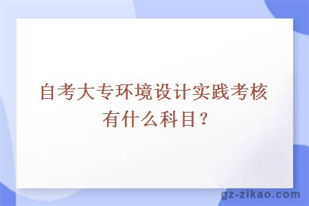 自考大专环境设计实践考核有什么科目？