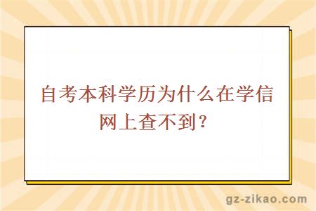 自考本科学历为什么在学信网上查不到？