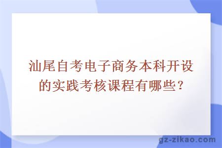 汕尾自考电子商务本科开设的实践考核课程有哪些？