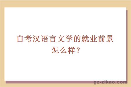 自考汉语言文学的就业前景怎么样？