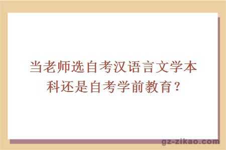 当老师选自考汉语言文学本科还是自考学前教育？