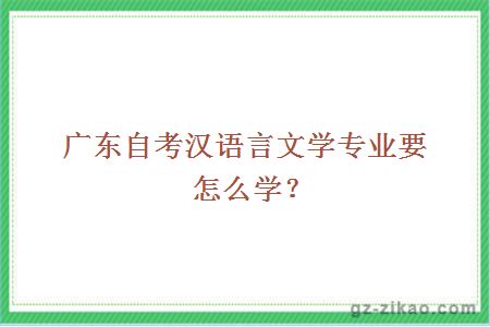 广东自考汉语言文学专业要怎么学？