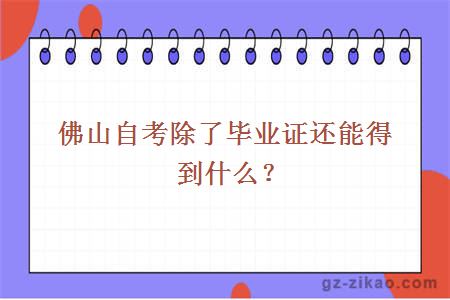 佛山自考除了毕业证还能得到什么？