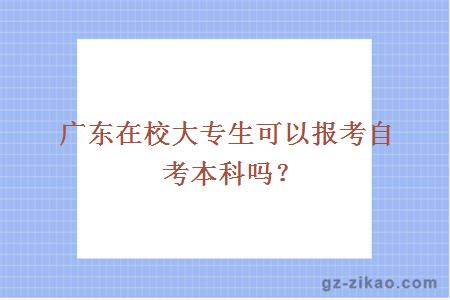 广东在校大专生可以报考自考本科吗？