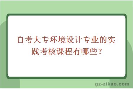 自考大专环境设计专业的实践考核课程有哪些？