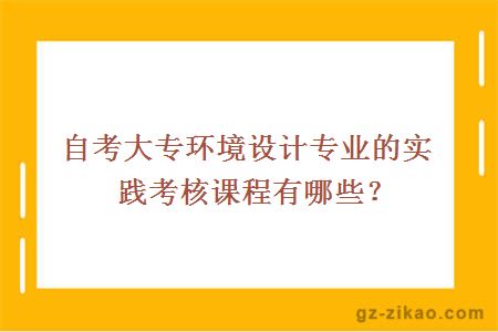 自考大专环境设计专业的实践考核课程有哪些？