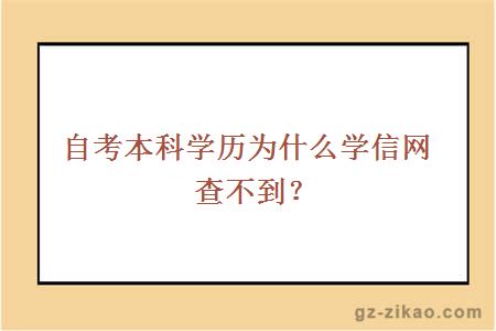 自考本科学历为什么学信网查不到？