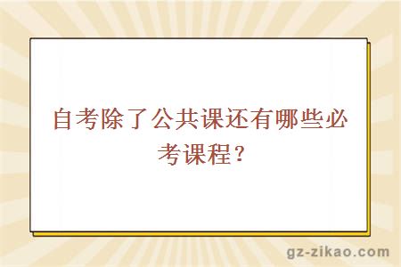 自考除了公共课还有哪些必考课程？