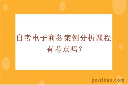 自考电子商务案例分析课程有考点吗？