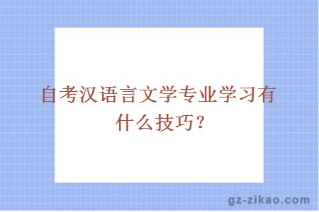 自考汉语言文学专业学习有什么技巧？