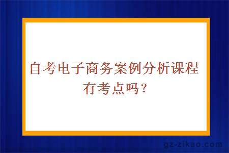 自考电子商务案例分析课程有考点吗？