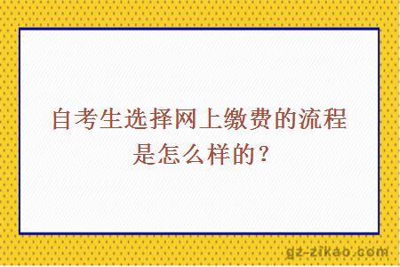 自考生选择网上缴费的流程是怎么样的？