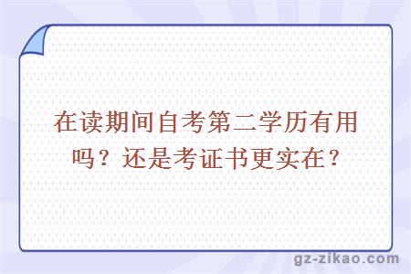 在读期间自考第二学历有用吗？还是考证书更实在？