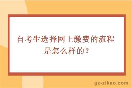 自考生选择网上缴费的流程是怎么样的？