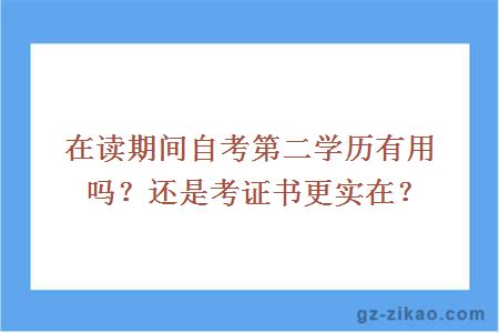 在读期间自考第二学历有用吗?还是考证书更实在？ 