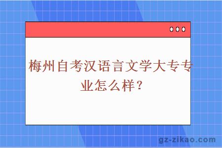 梅州自考汉语言文学大专专业怎么样？