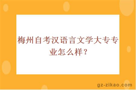 梅州自考汉语言文学大专专业怎么样？