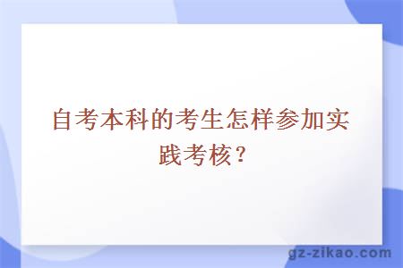 自考本科的考生怎样参加实践考核？