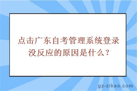 点击广东自考管理系统登录没反应的原因是什么？