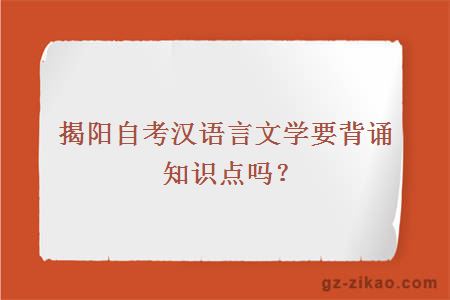 揭阳自考汉语言文学要背诵知识点吗？