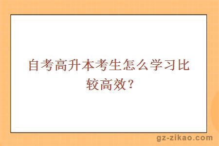 自考高升本考生怎么学习比较高效？