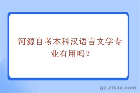 河源自考本科汉语言文学专业有用吗？