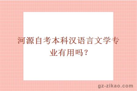 河源自考本科汉语言文学专业有用吗？