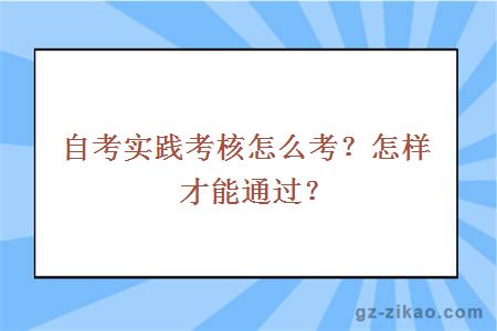 自考实践考核怎么考？怎样才能通过？