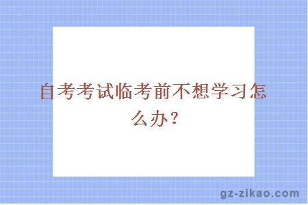 自考考试临考前不想学习怎么办？