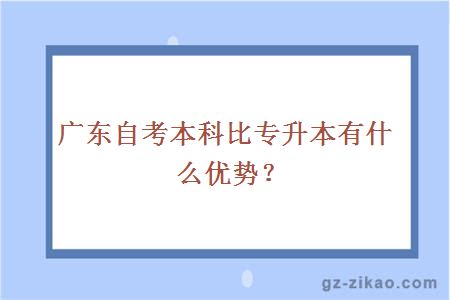 广东自考本科比专升本有什么优势？