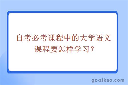 自考必考课程中的大学语文课程要怎样学习？