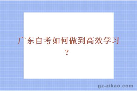 广东自考如何做到高效学习？