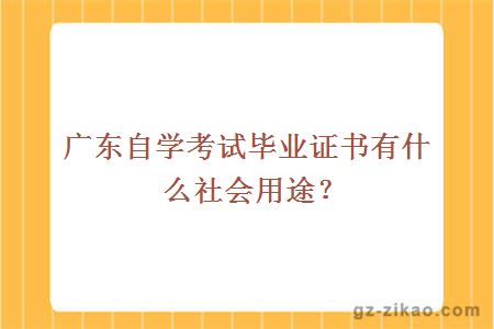 广东自学考试毕业证书有什么社会用途？