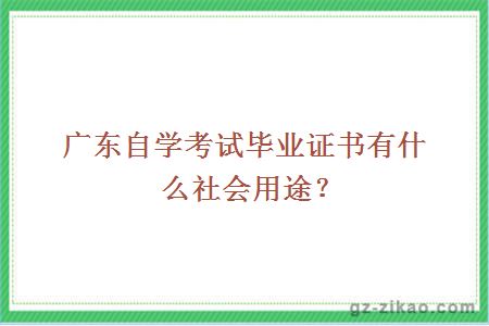 广东自学考试毕业证书有什么社会用途？