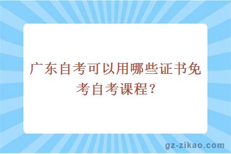 广东自考可以用哪些证书免考自考课程？