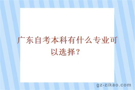 广东自考本科有什么专业可以选择？