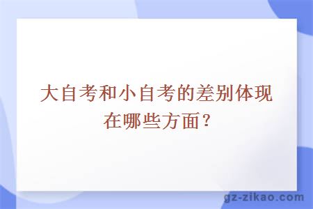 大自考和小自考的差别体现在哪些方面？