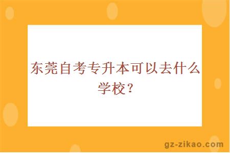 东莞自考专升本可以去什么学校？