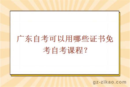 广东自考可以用哪些证书免考自考课程？