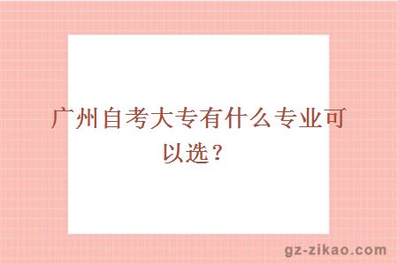 广州自考大专有什么专业可以选？